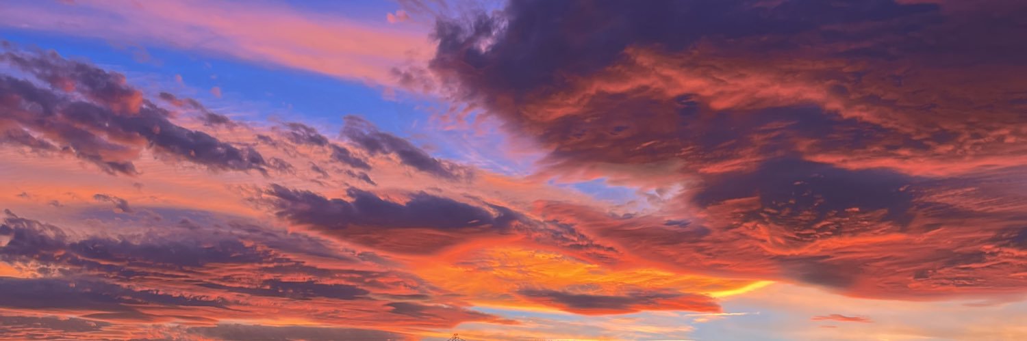 LucyQuigley's profile banner image