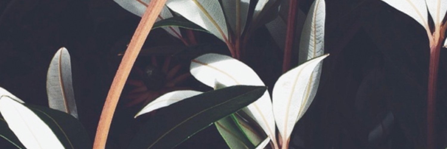 wmh555's profile banner image