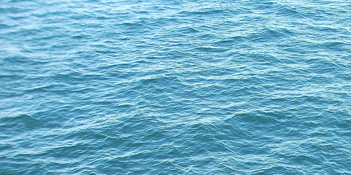 Si Biles - @phorensic_pheasant@fosstodon.org banner