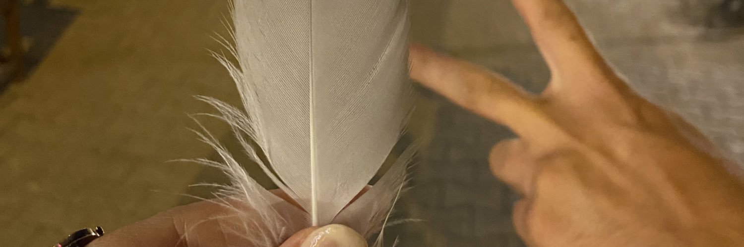 mervedmrkrn's profile banner image