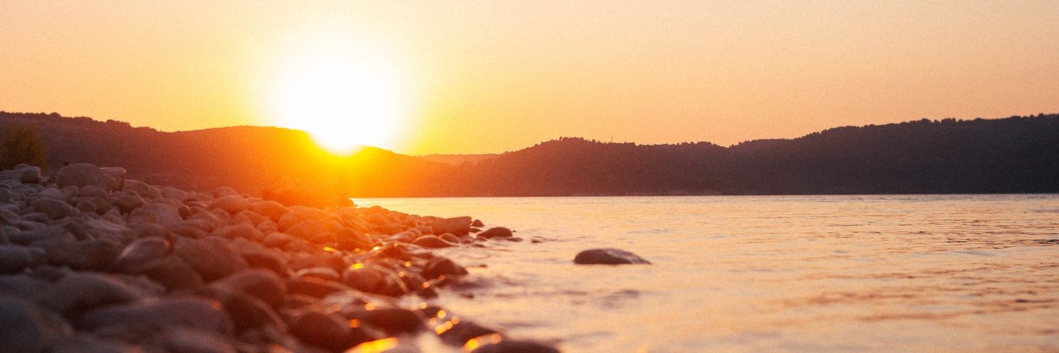 FS 🇨🇵🦁 banner
