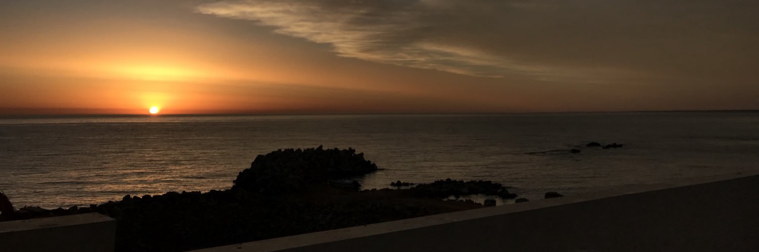 Mahmoud S Bilal banner