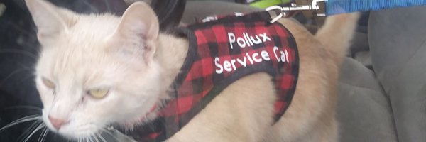 AskCisco Profile Banner