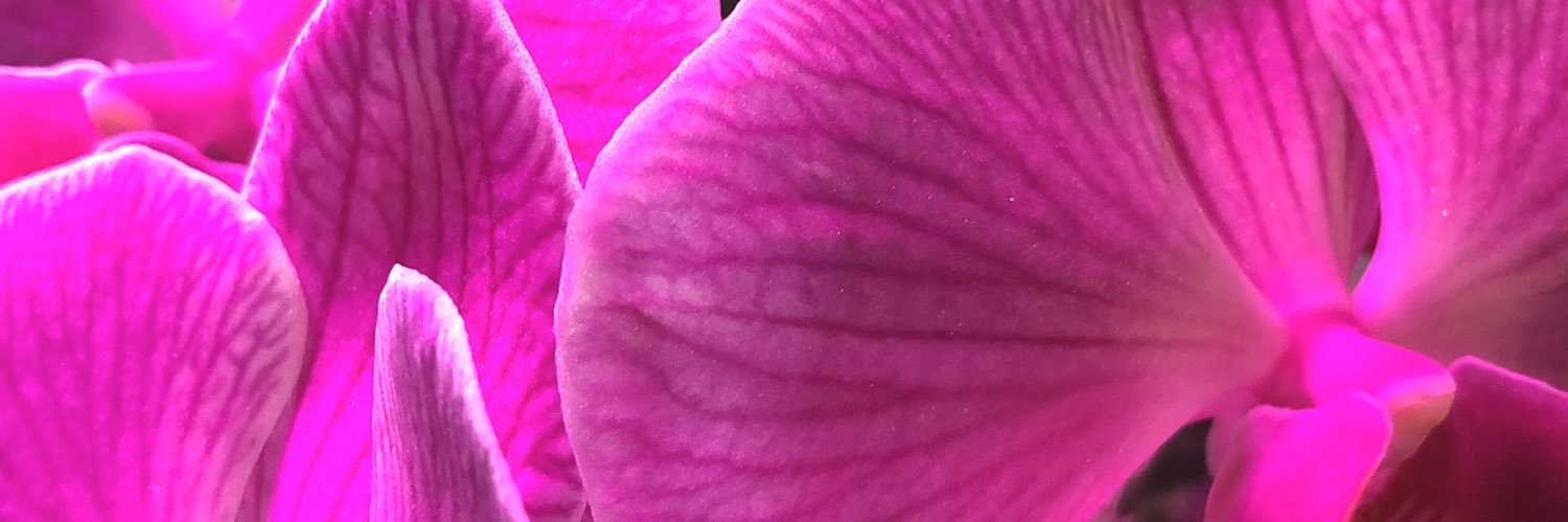 the best mom of 2 banner