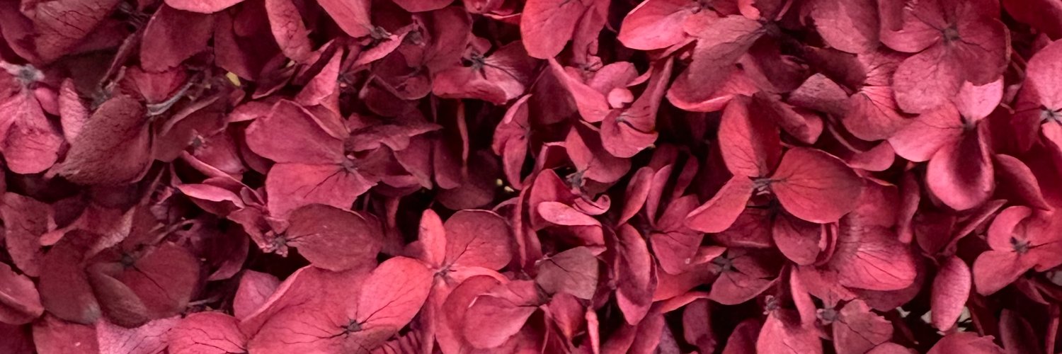 SandraSantosFra's profile banner image