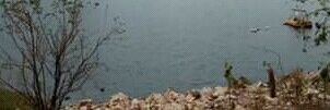 wagneryson's profile banner image