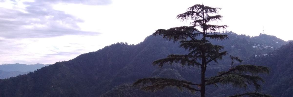 GuptaMaitry's profile banner image