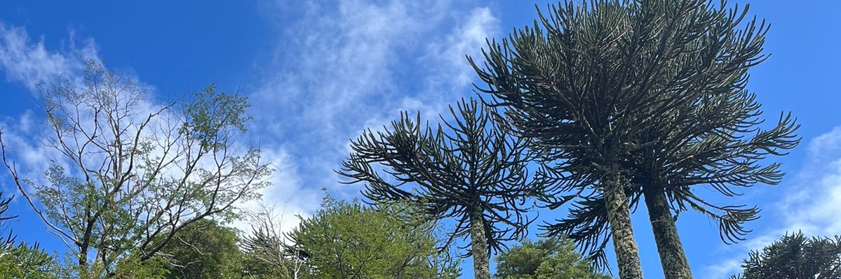 FranGaya_'s profile banner image