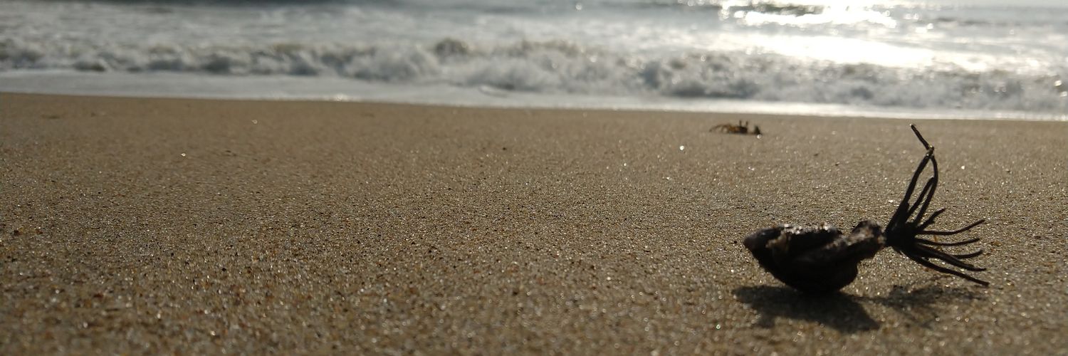 dheenu0's profile banner image