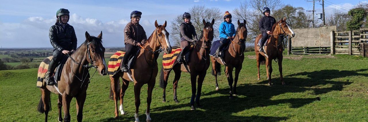 Perseus Potter 🇬🇧🦊🏳️‍🌈🇺🇦🇨🇭 banner
