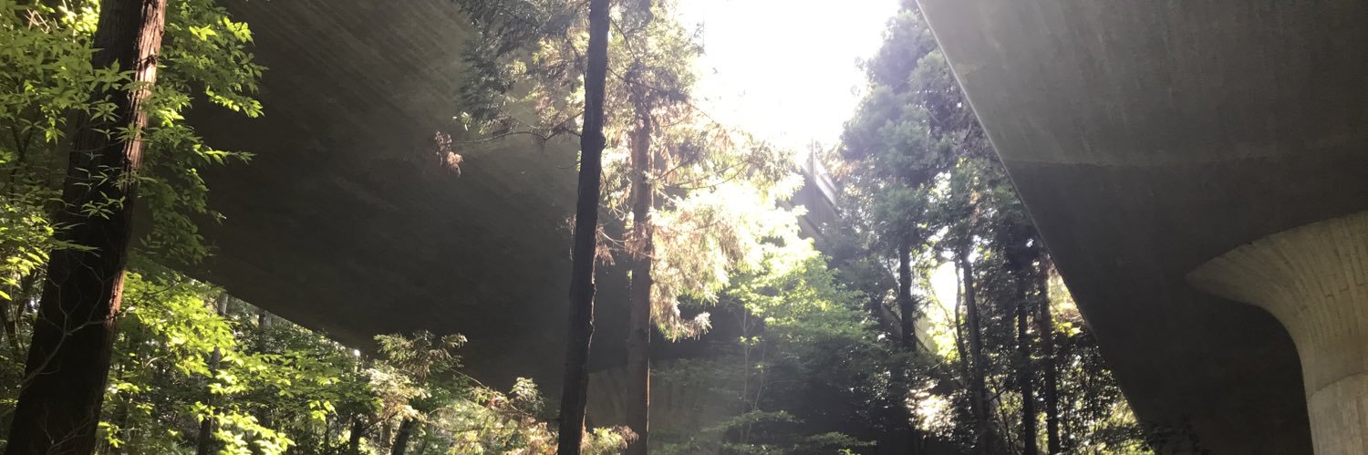 pyopyopyono_pyo's profile banner image