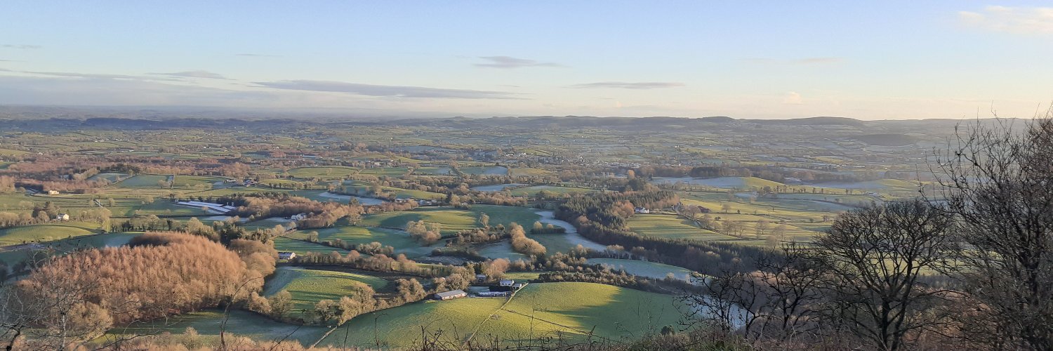 declanmckenna banner