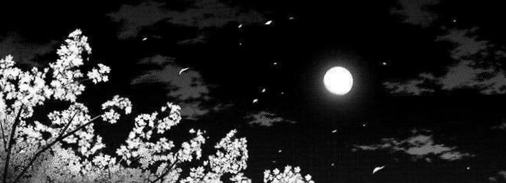 limelunnaa0's profile banner image