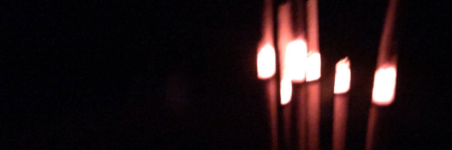 Vanessa Bates banner