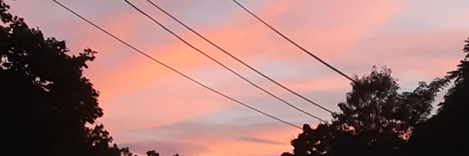 ashfern1206's profile banner image