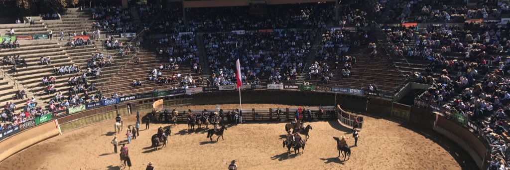 Chileno 🇨🇱 banner