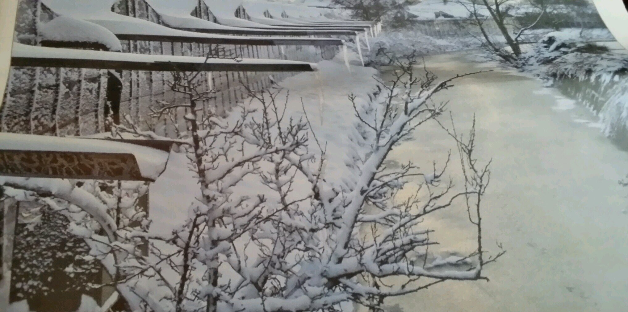 witteoeau's profile banner image