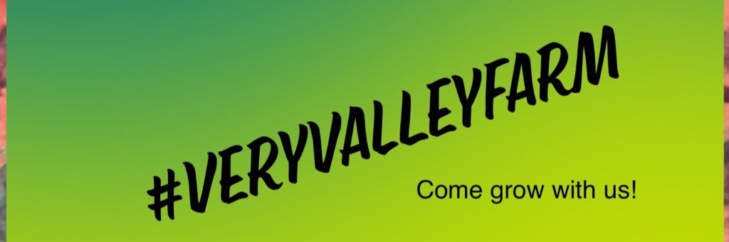 Valley Farm PS banner