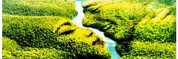 arenb72 Profile Banner