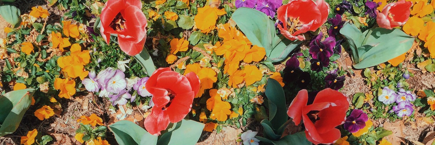mpaulinaherrera's profile banner image