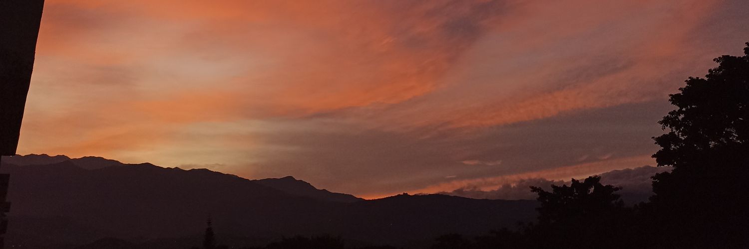 lamujerbionicca's profile banner image