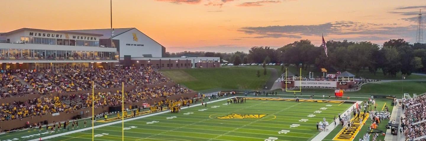 Michael Gallo banner