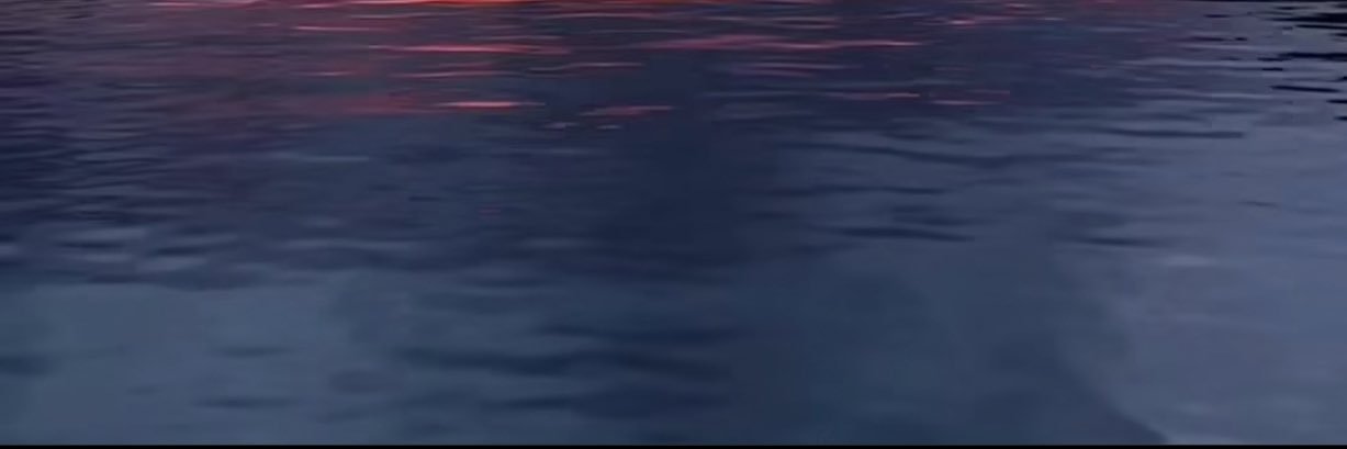 ayseunal's profile banner image