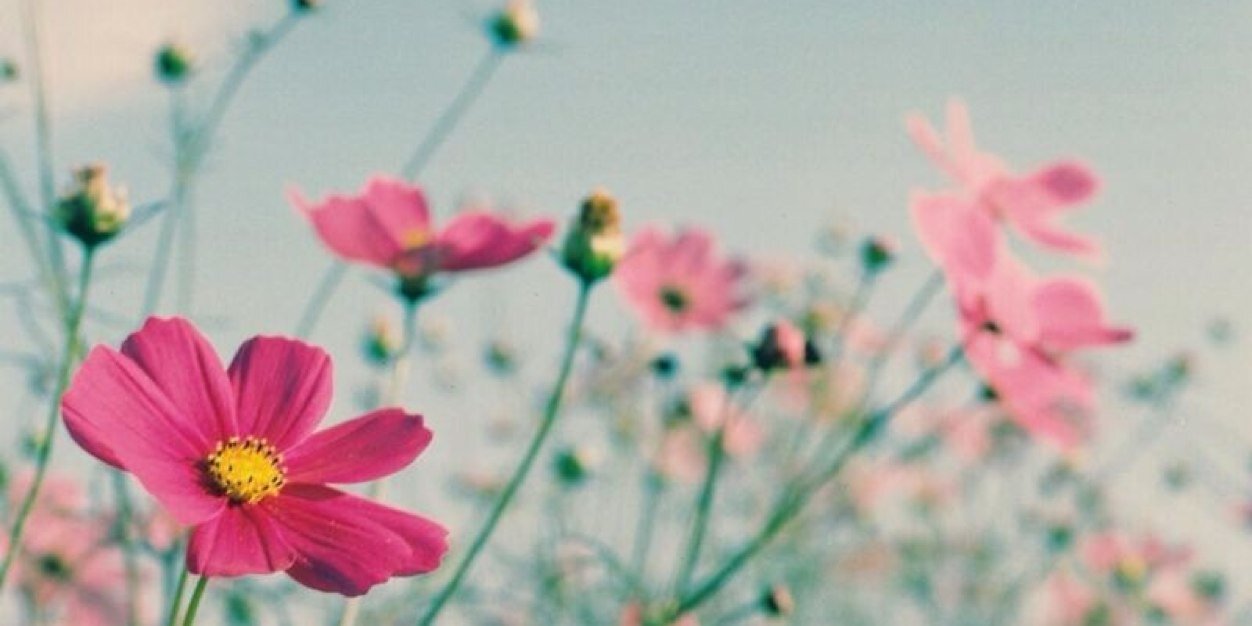 bndr51's profile banner image