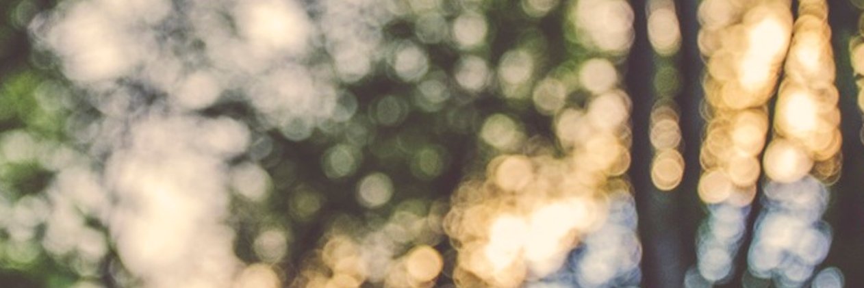 alysheppard's profile banner image