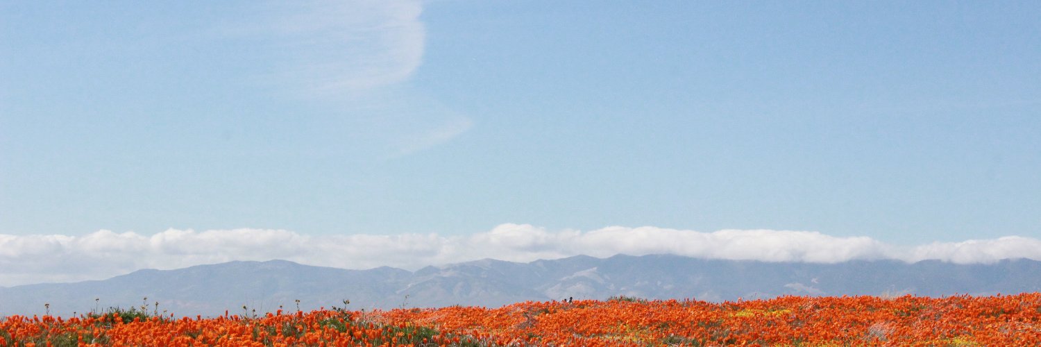 joechoreo's profile banner image