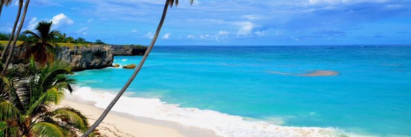 ancy_m12 Profile Banner