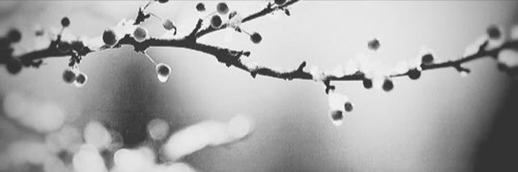 _N_M_D's profile banner image