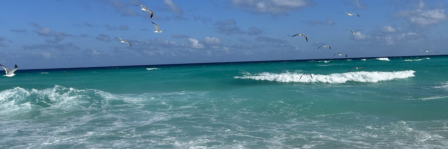 Prlacga's profile banner image