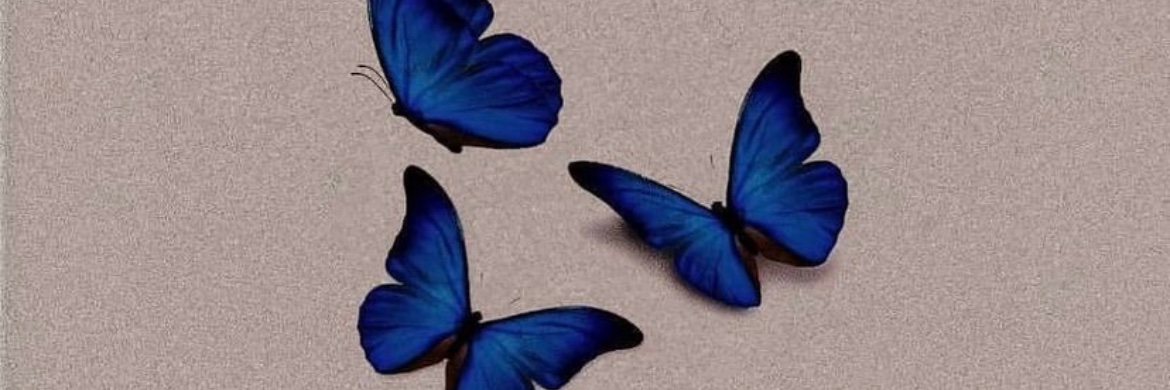 Uniquelybria's profile banner image