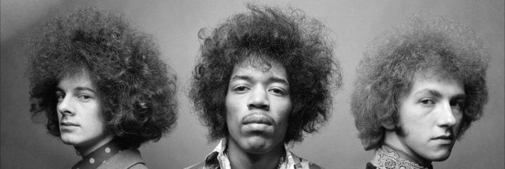 bird, ball, and anchor. banner