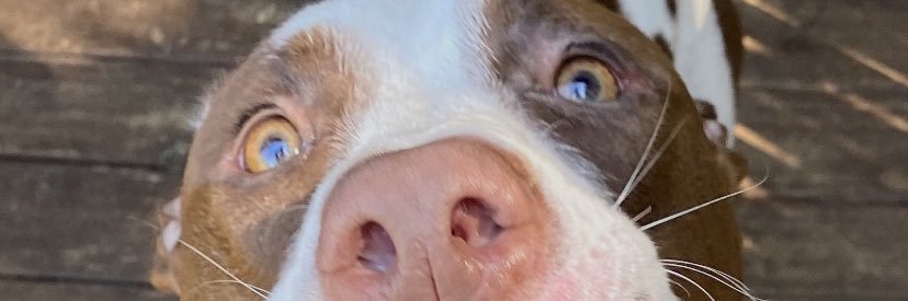 HaleyReneJones's profile banner image
