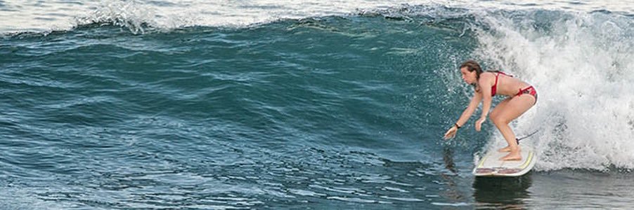 misshness's profile banner image