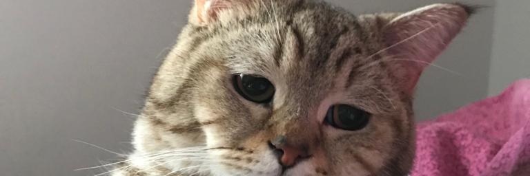 umitkaya71's profile banner image