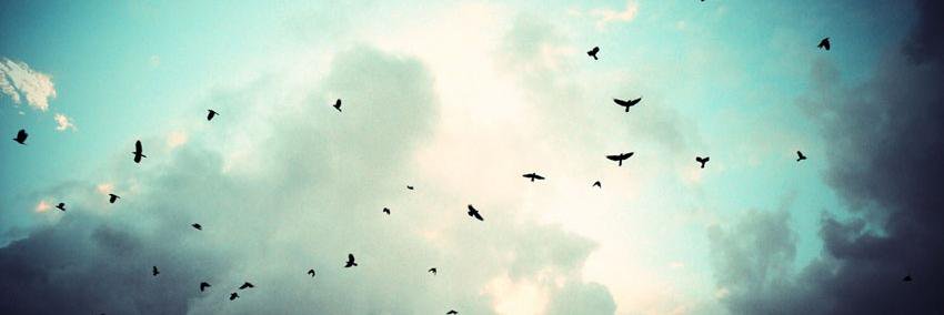Perfectneck's profile banner image