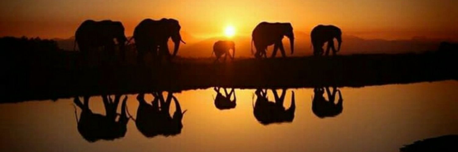 truth_rootz's profile banner image