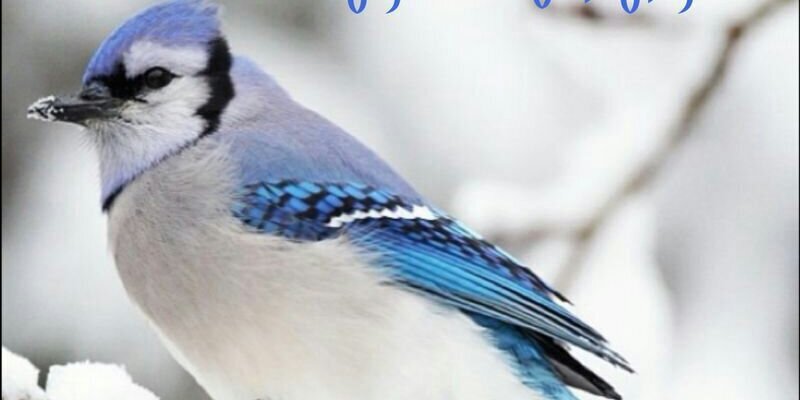 EssaAlabbas's profile banner image