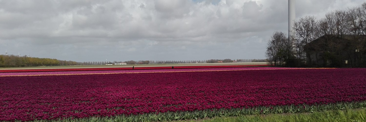 astutterheim's profile banner image