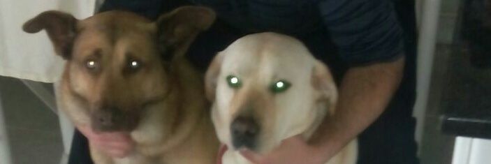 arkaitzgf's profile banner image