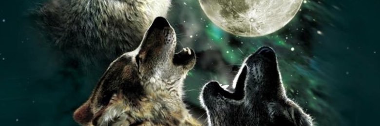 kevinlevine112's profile banner image