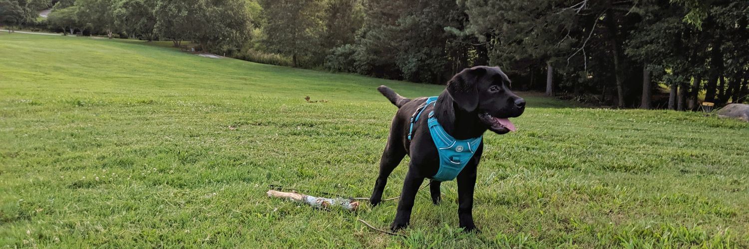 EmilyByars's profile banner image