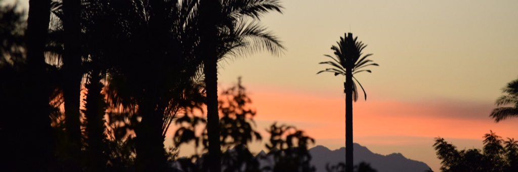 miriamhuizing's profile banner image