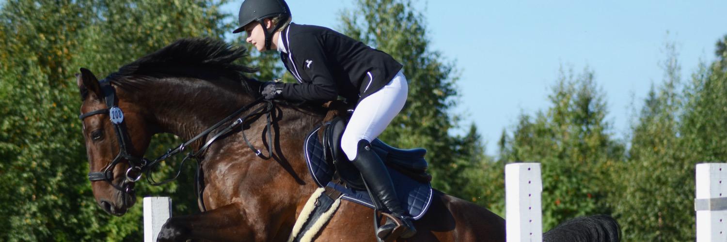 VviktoriaL's profile banner image