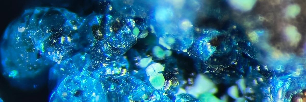 leia_hackett's profile banner image