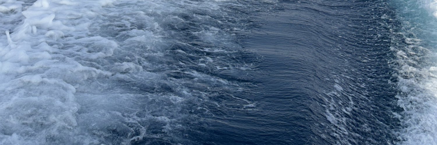 Trawnibak's profile banner image