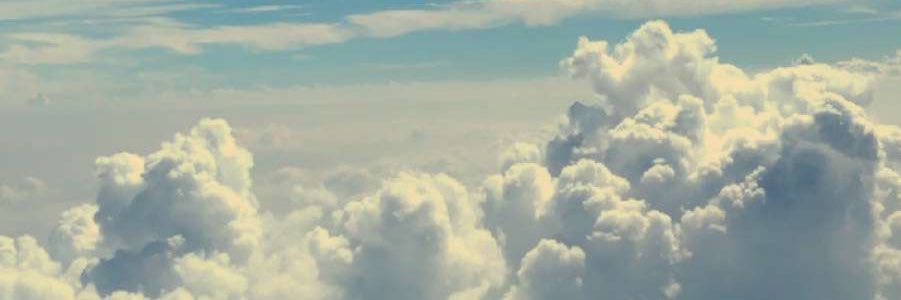 EmilyWheeler22's profile banner image